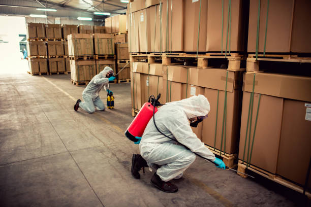 Best Commercial Pest Control Services  in Ciborne, LA