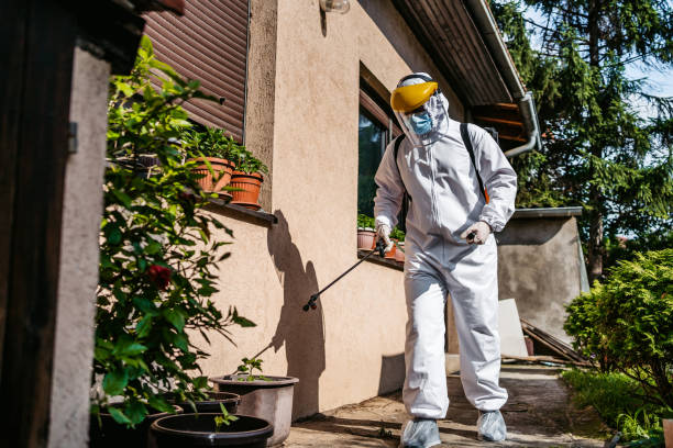 Best Affordable Pest Control Services  in Ciborne, LA