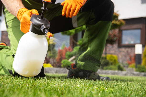 Best Bed Bug Extermination  in Ciborne, LA