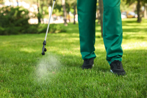 Best Commercial Pest Control Services  in Ciborne, LA