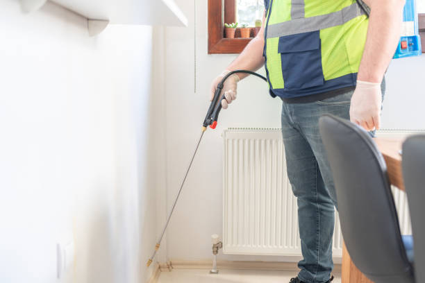 Best Flea Control Services  in Ciborne, LA