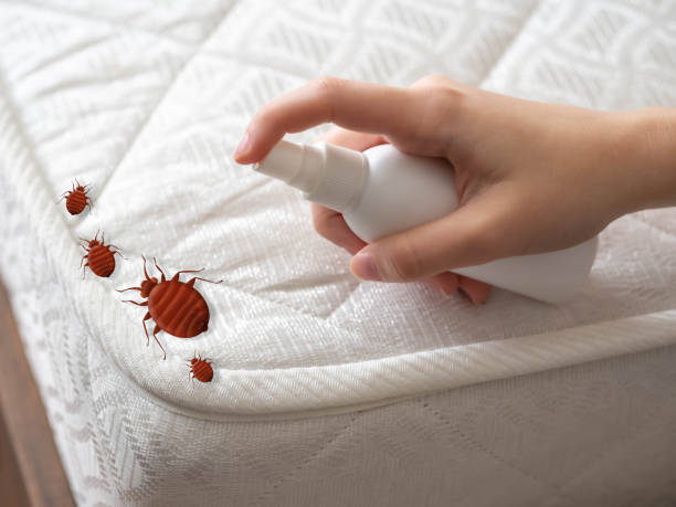 Best Best Pest Control Companies  in Ciborne, LA