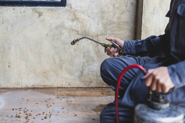 Best Emergency Pest Control  in Ciborne, LA