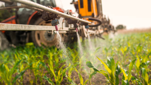 Pest Prevention Services in Claiborne, LA